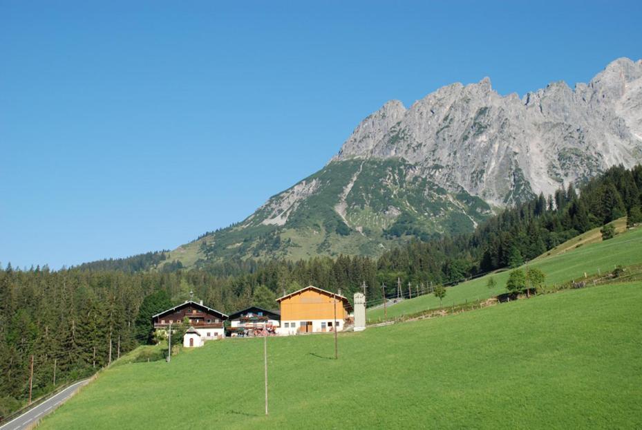 Ferienbauernhof Elmaugut Villa Muhlbach Am Hochkonig Exterior photo